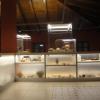 Museo Archeologico 'Platina' - Sezione Romana
